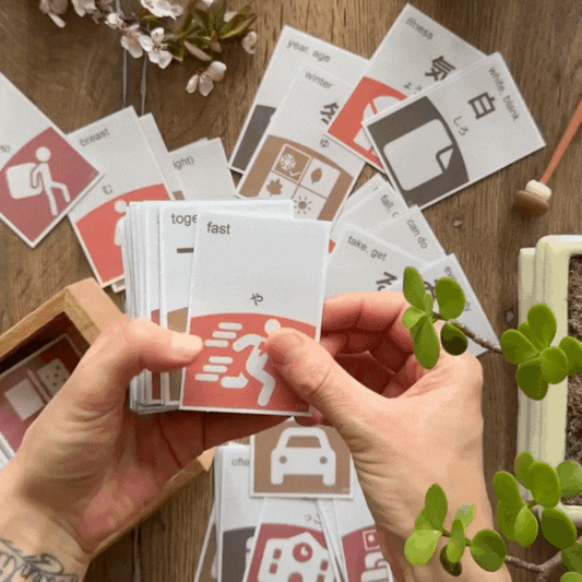Japanese Flashcard Bundle